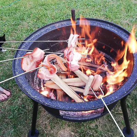 Sailor 巴拉通雷勒