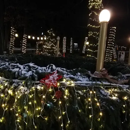 Sailor 公寓 巴拉通雷勒