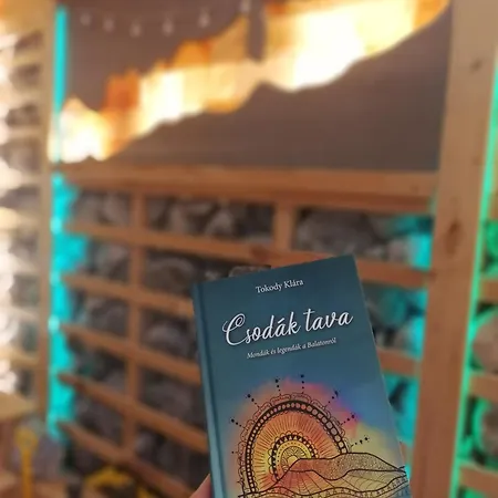 Sailor 公寓 巴拉通雷勒