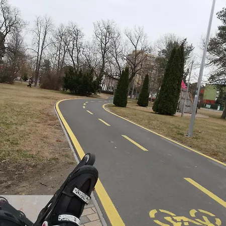 Sailor 公寓 巴拉通雷勒